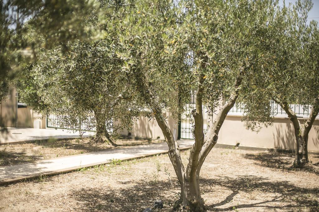 Olive Tree Apartments Fourka Buitenkant foto
