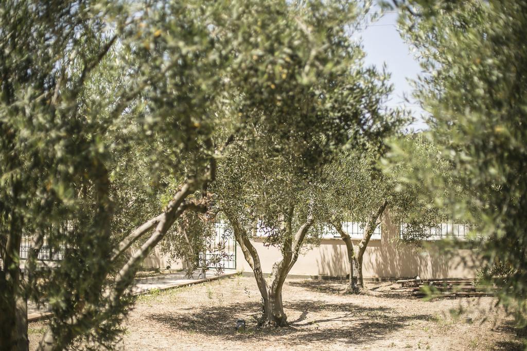 Olive Tree Apartments Fourka Buitenkant foto