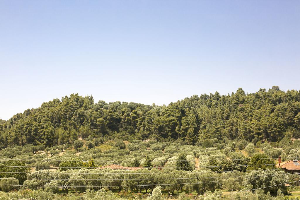 Olive Tree Apartments Fourka Buitenkant foto